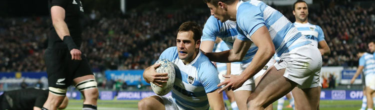 camiseta rugby Argentina